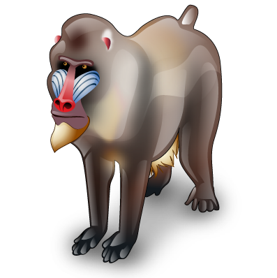 baboon